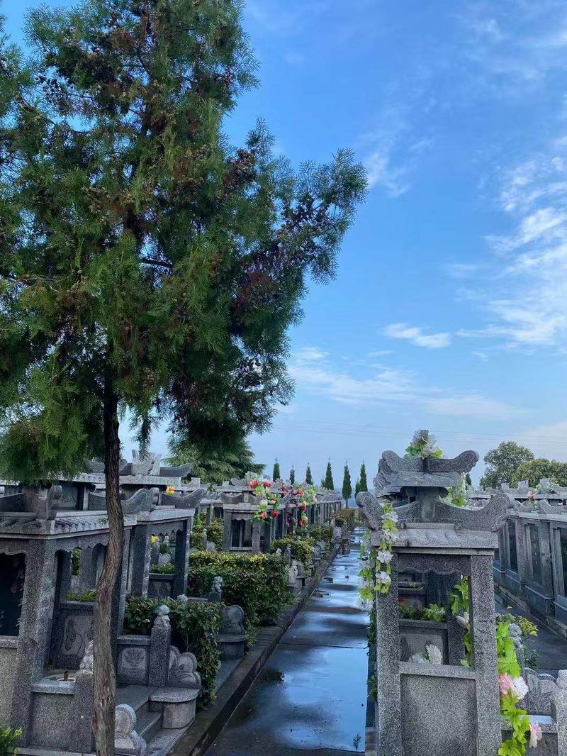 园区景观